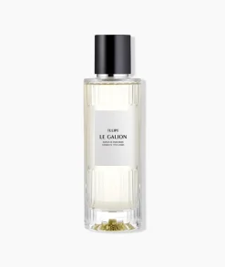 Tulipe LE GALION- Floral