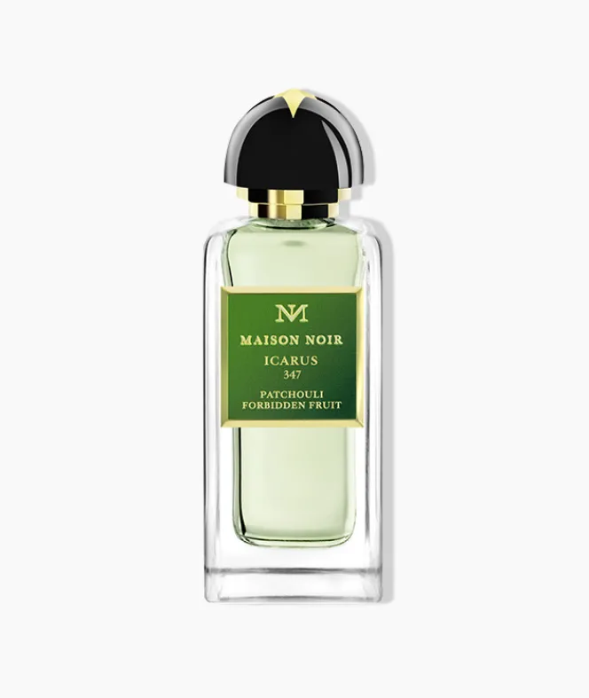 Icarus 347 MAISON NOIR- Aquatic|Fougère