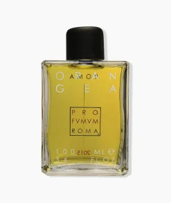 ORANGEA PROFUMUM ROMA- Aromatic|Citrusy