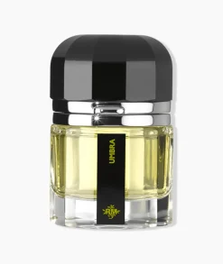 Umbra RAMON MONEGAL- Fougère